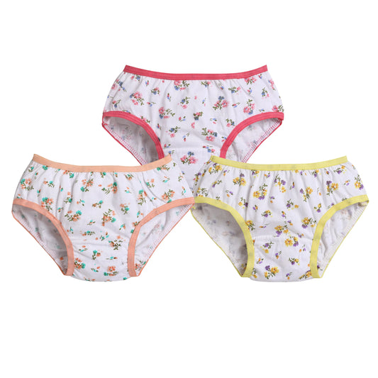 Tinsel White Girl's Panties Set - Pack Of 3